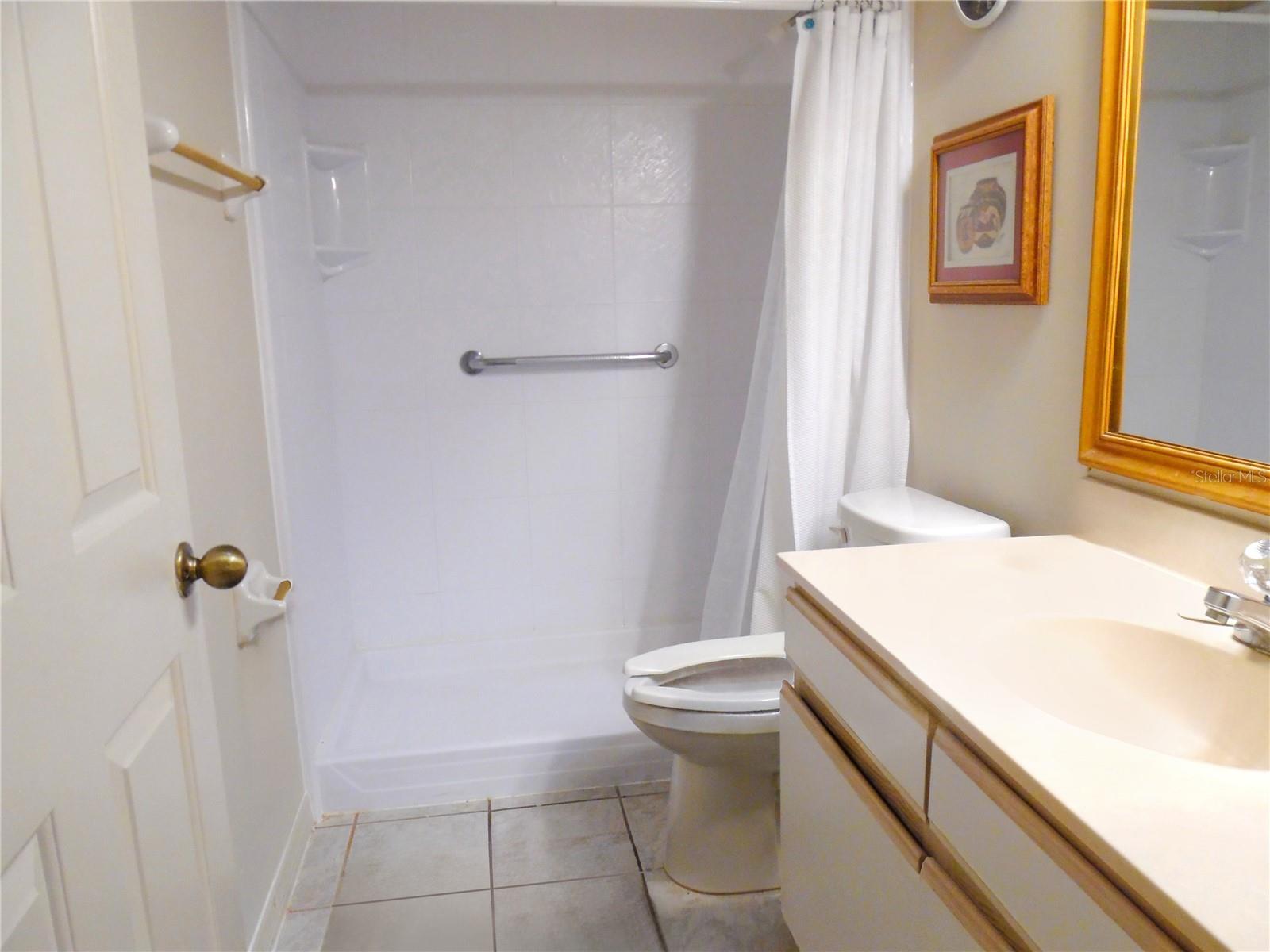 24947 CRANES ROOST CIR, LEESBURG, FL — photo 43