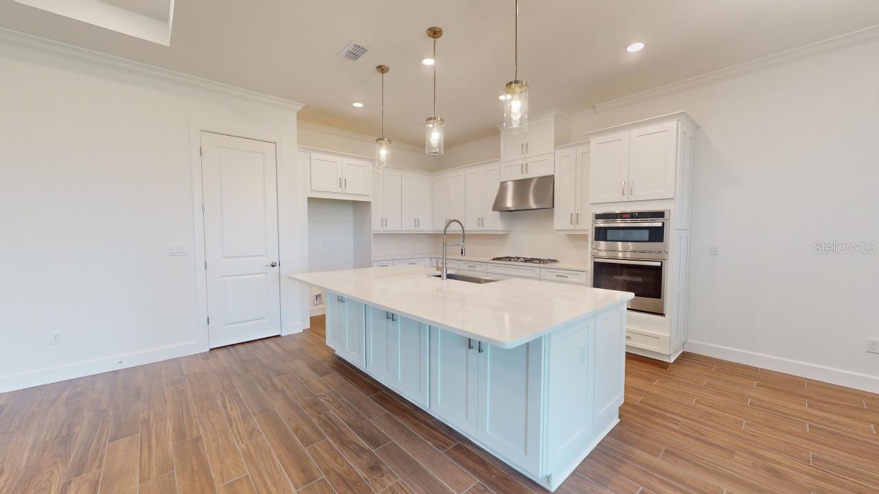 30175 IMPERATI BLVD, WESLEY CHAPEL, FL — photo 10
