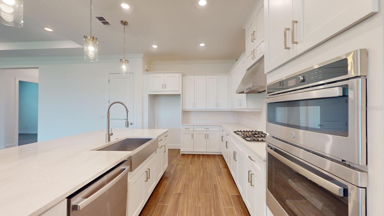 30175 IMPERATI BLVD, WESLEY CHAPEL, FL — photo 11