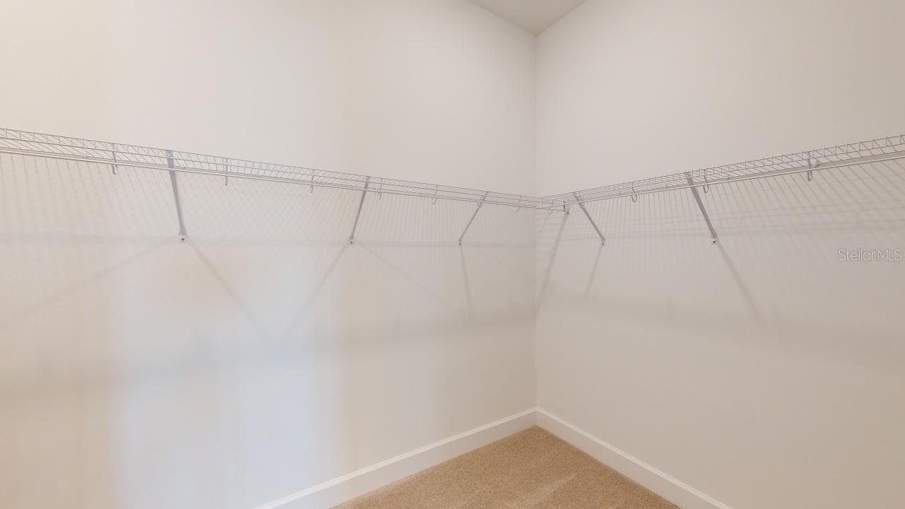 30175 IMPERATI BLVD, WESLEY CHAPEL, FL — photo 17