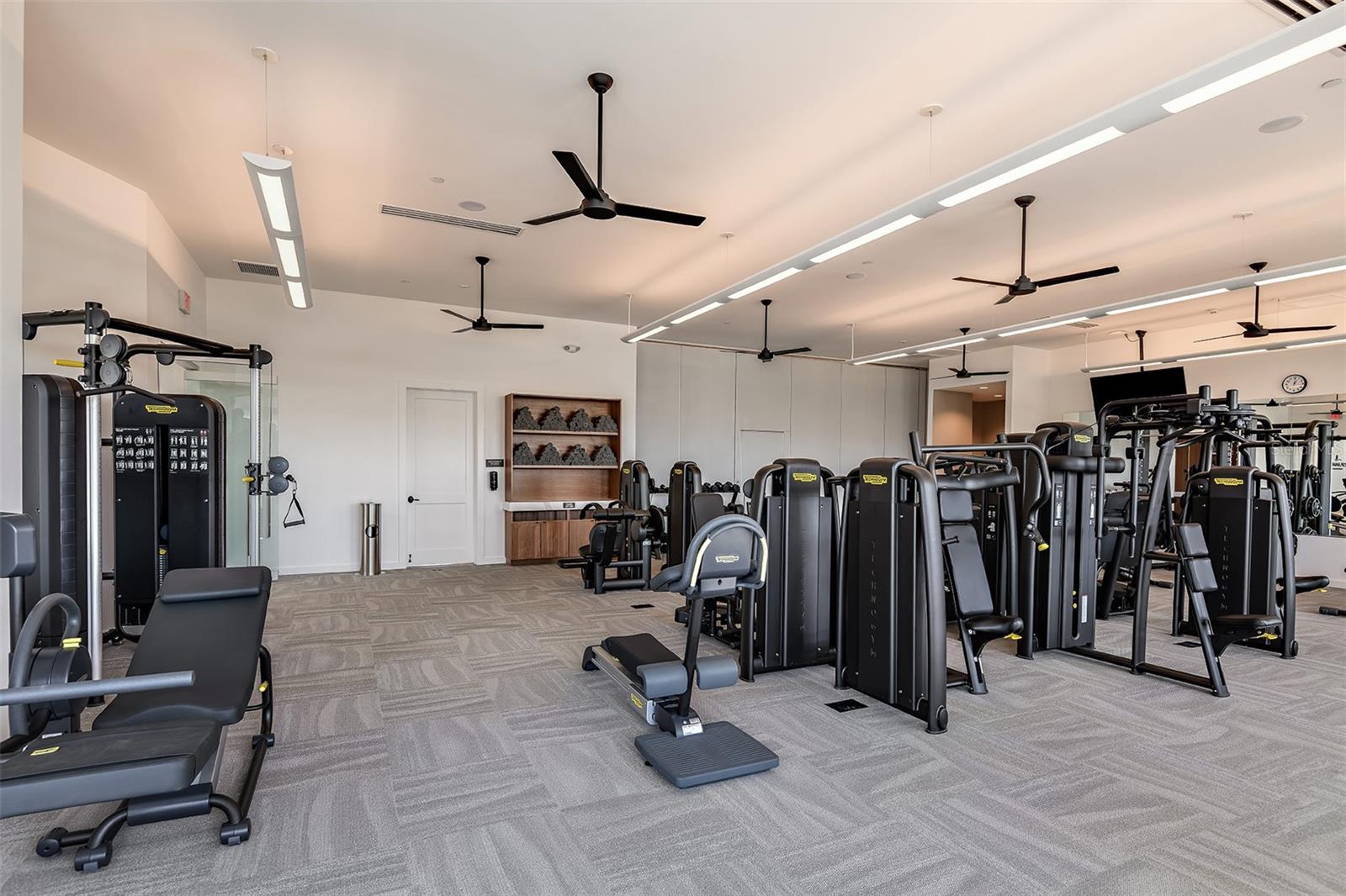 30175 IMPERATI BLVD, WESLEY CHAPEL, FL — photo 22