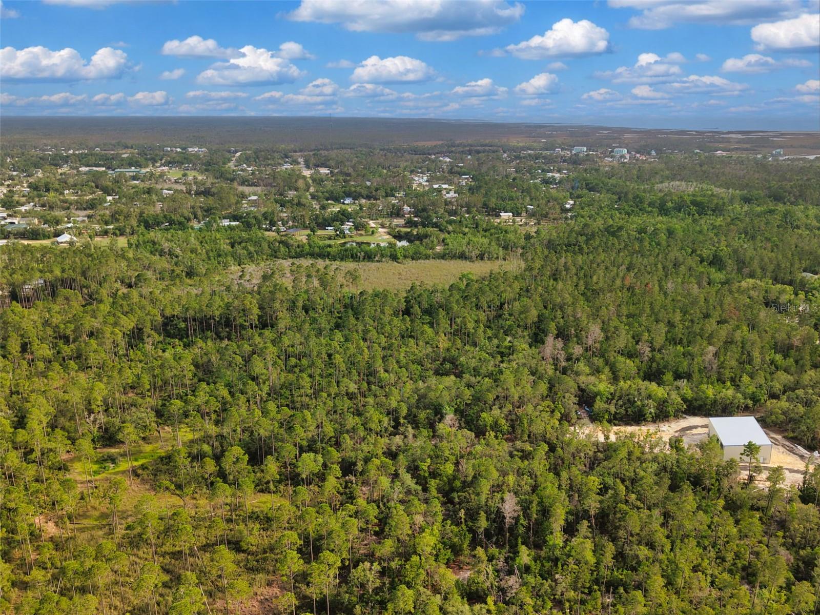 SAVANNA LN, STEINHATCHEE, FL — photo 2