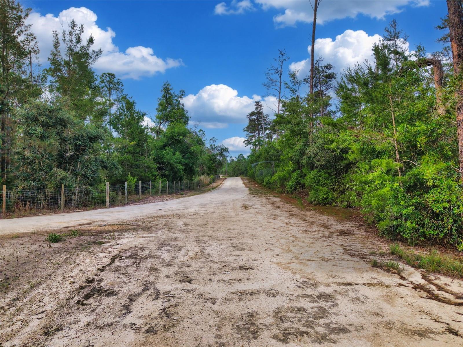 SAVANNA LN, STEINHATCHEE, FL — photo 4