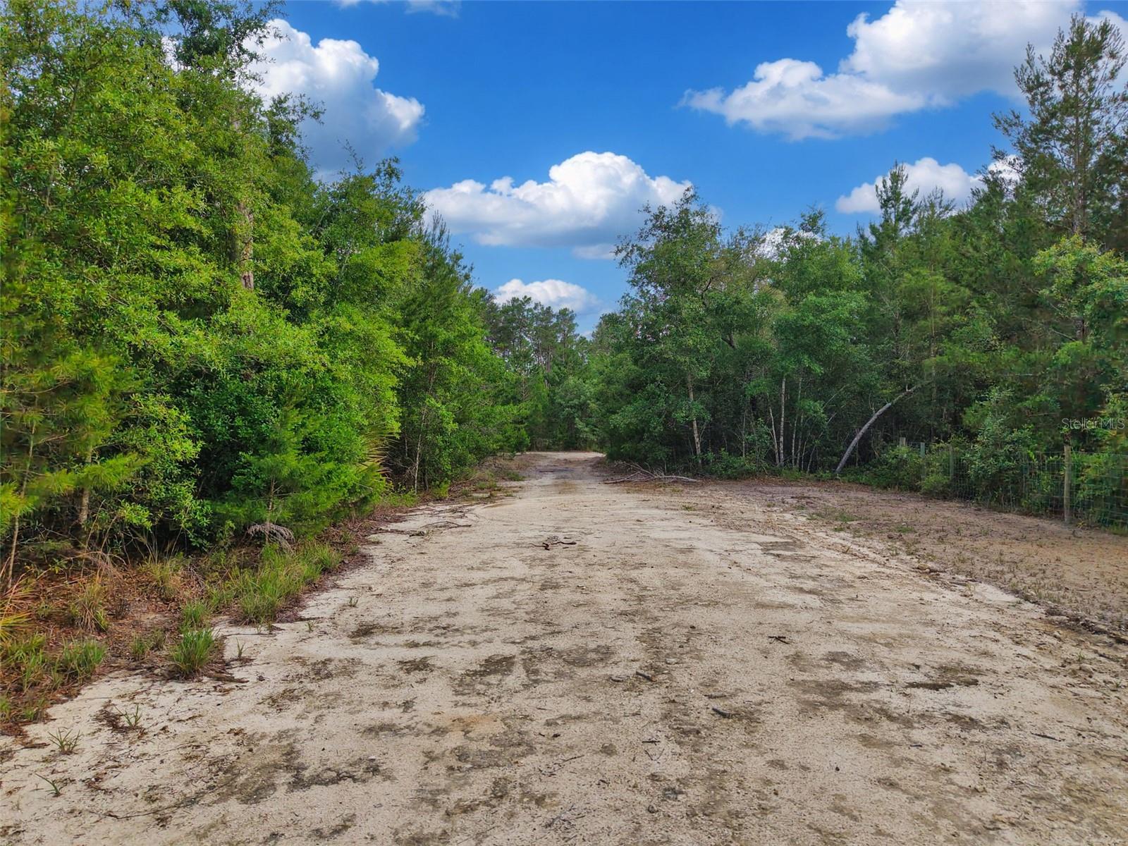 SAVANNA LN, STEINHATCHEE, FL — photo 5