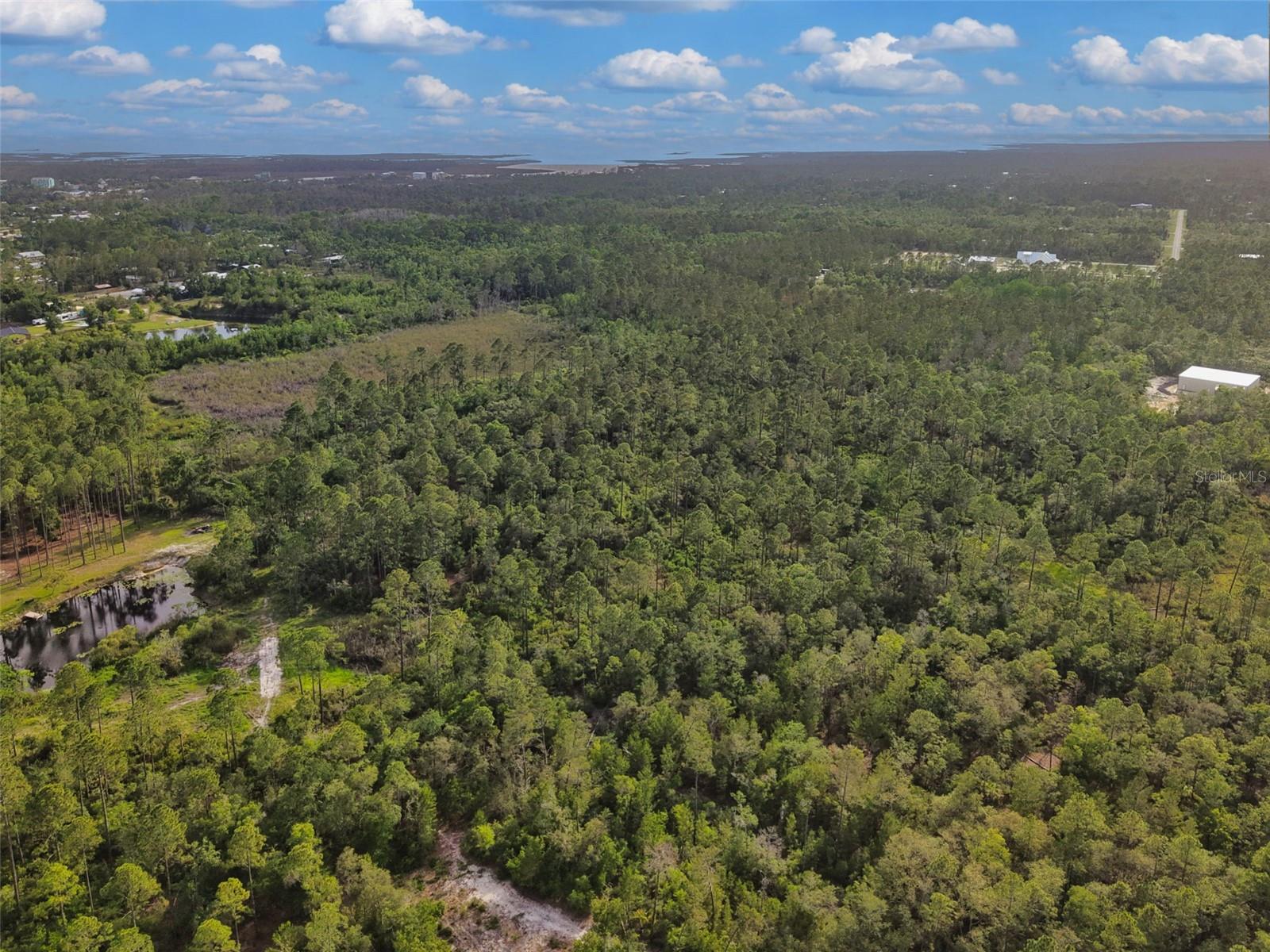 SAVANNA LN, STEINHATCHEE, FL — photo 8