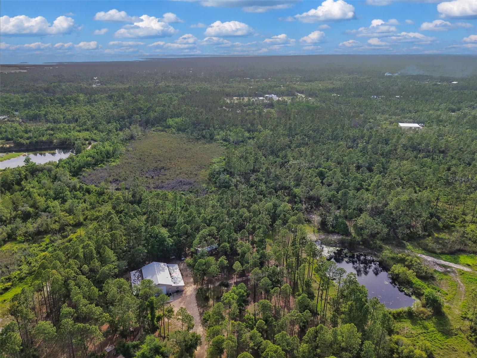 SAVANNA LN, STEINHATCHEE, FL — photo 9