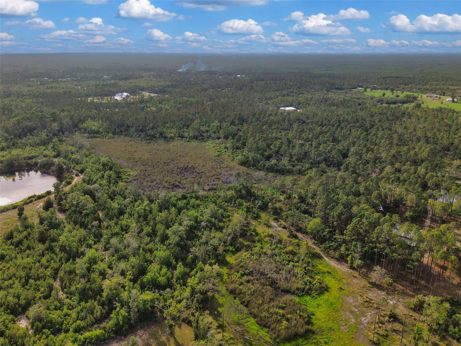 SAVANNA LN, STEINHATCHEE, FL — photo 10