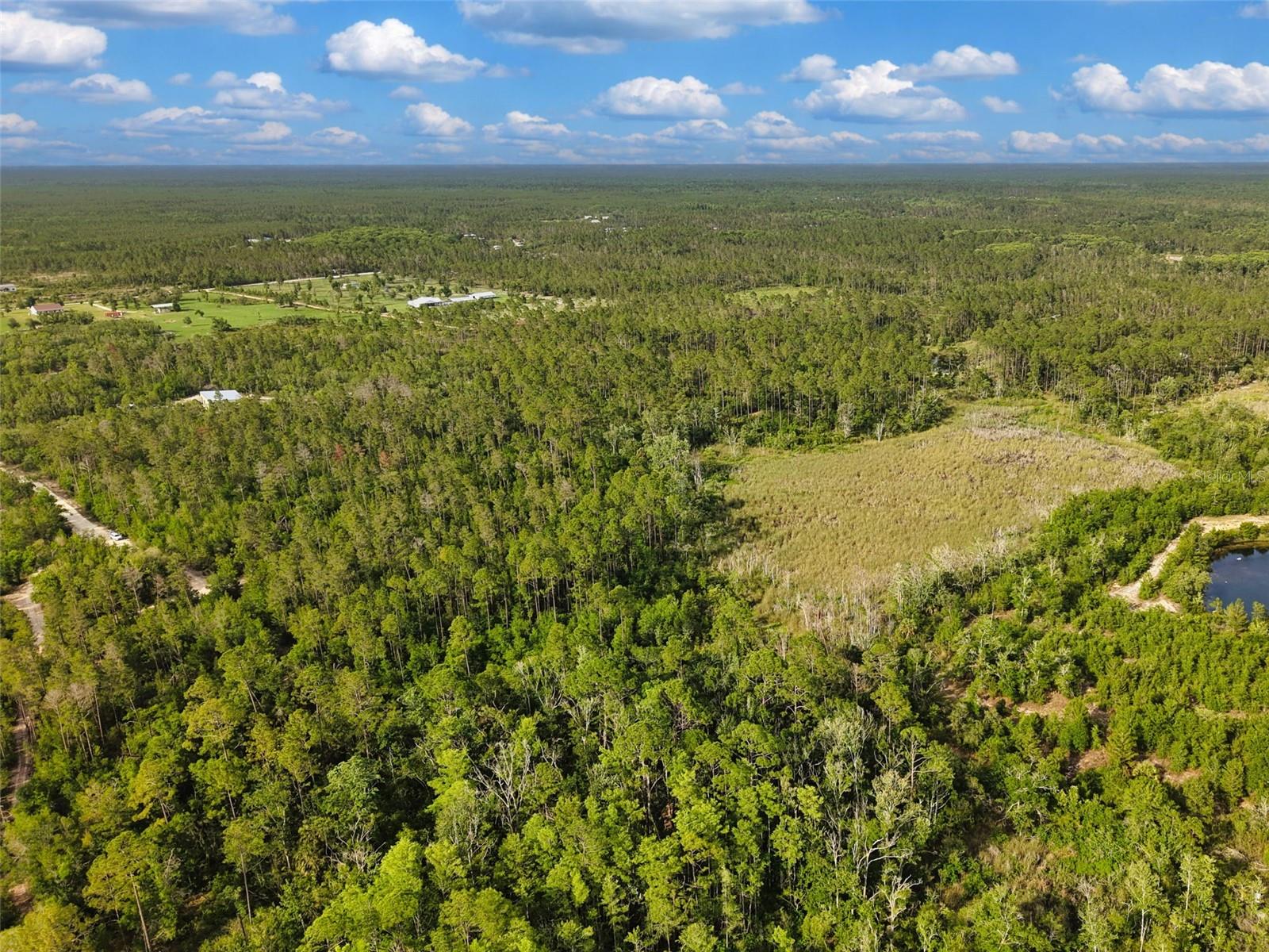SAVANNA LN, STEINHATCHEE, FL — photo 12