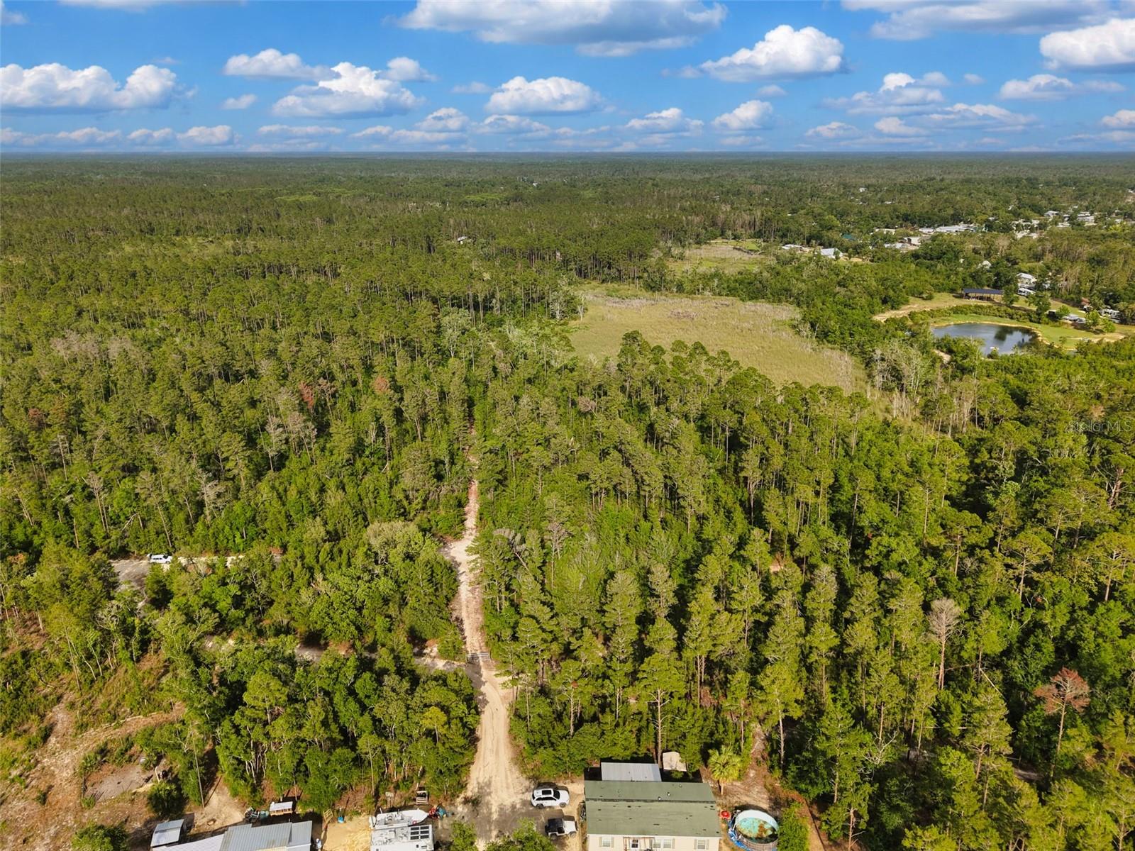 SAVANNA LN, STEINHATCHEE, FL — photo 13