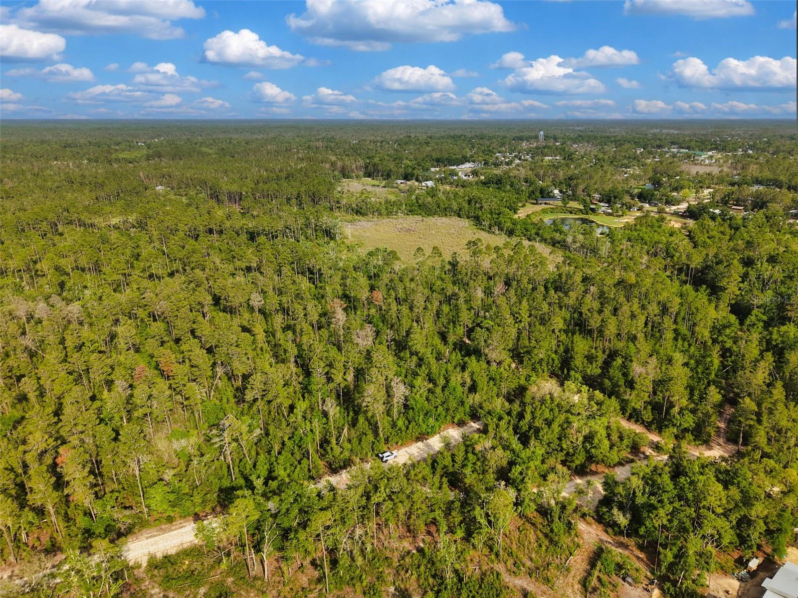 SAVANNA LN, STEINHATCHEE, FL — photo 14