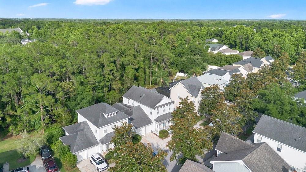 1013 MAIDEN TER, CELEBRATION, FL — photo 37