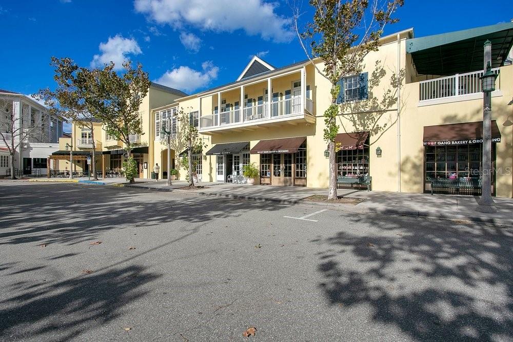 1013 MAIDEN TER, CELEBRATION, FL — photo 53