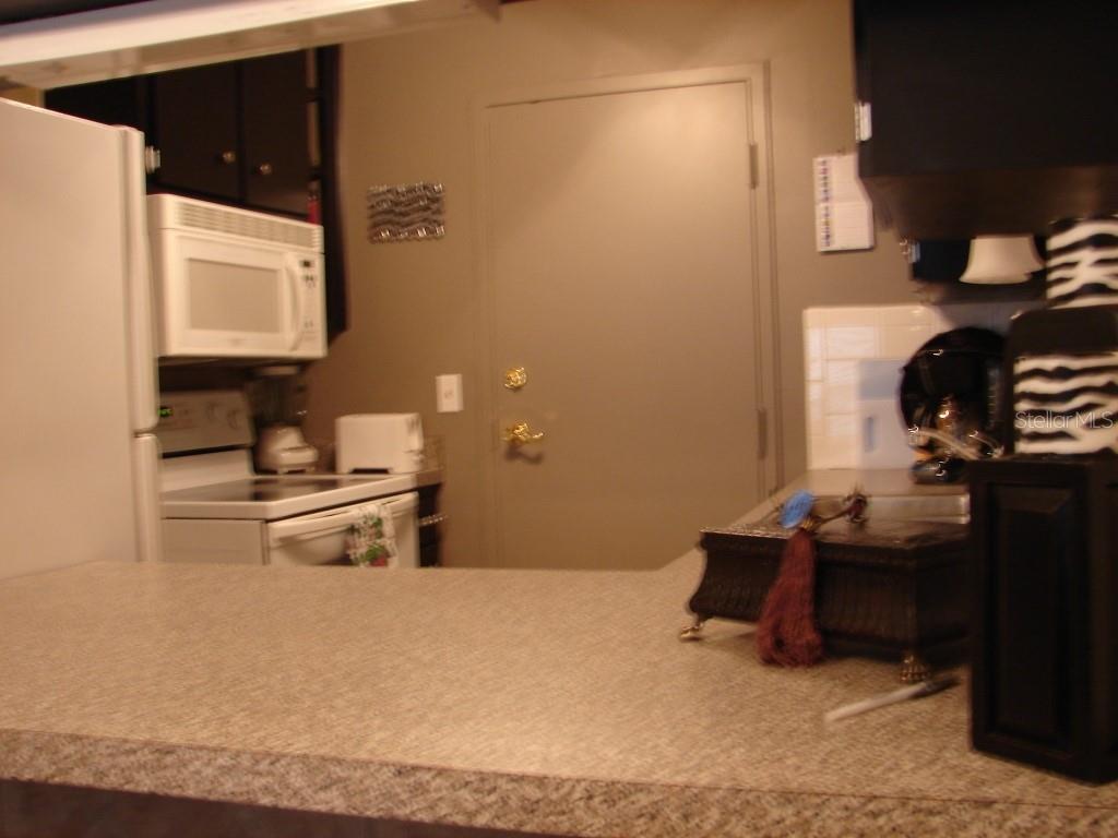 2700 BAYSHORE BLVD #4312, DUNEDIN, FL — photo 7