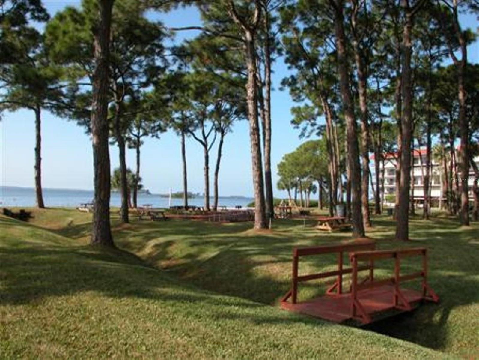 2700 BAYSHORE BLVD #4312, DUNEDIN, FL — photo 21