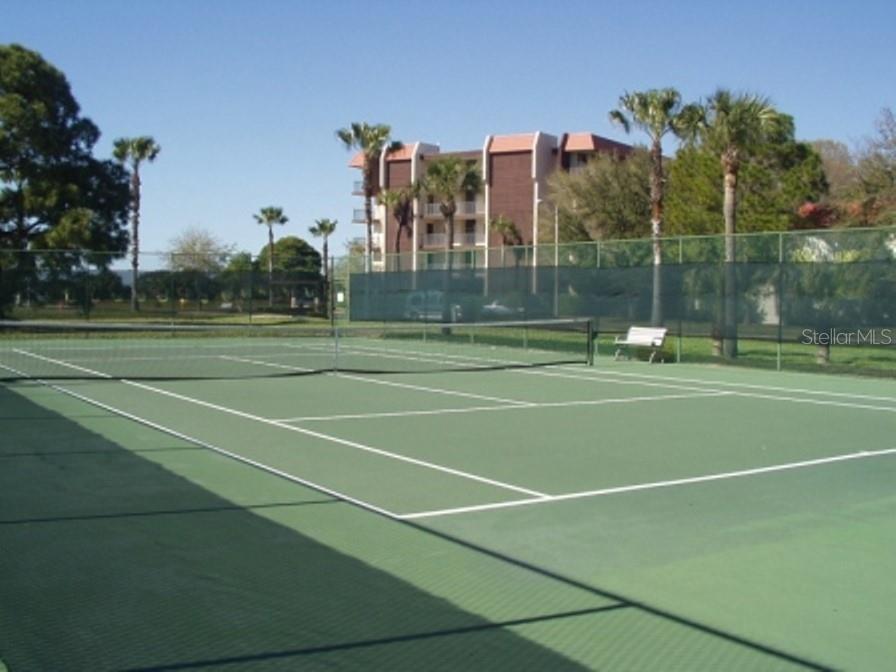 2700 BAYSHORE BLVD #4312, DUNEDIN, FL — photo 22