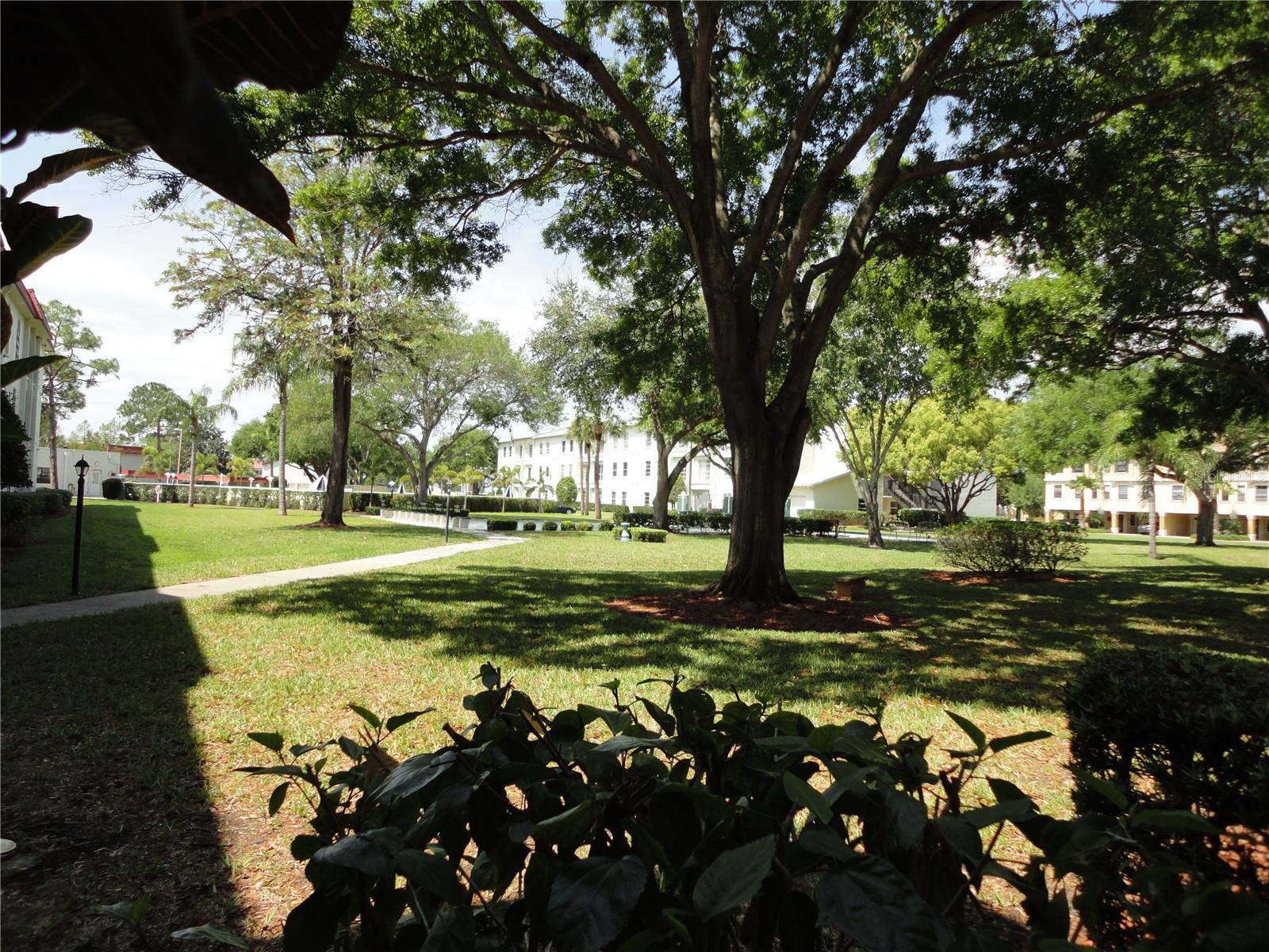 2700 BAYSHORE BLVD #4312, DUNEDIN, FL — photo 23