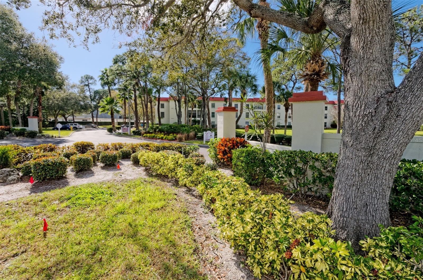 2700 BAYSHORE BLVD #4312, DUNEDIN, FL — photo 27