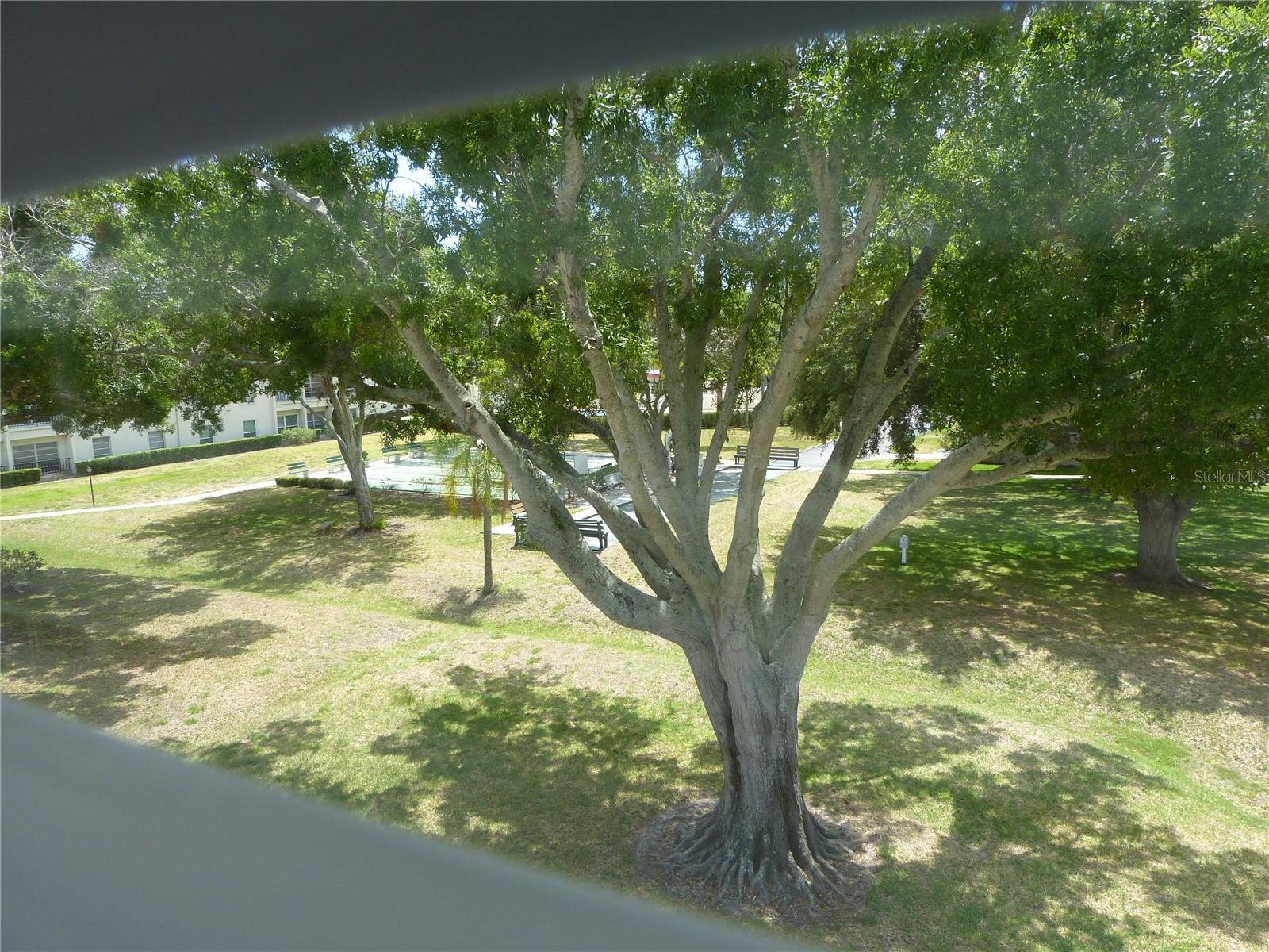2700 BAYSHORE BLVD #4312, DUNEDIN, FL — photo 41