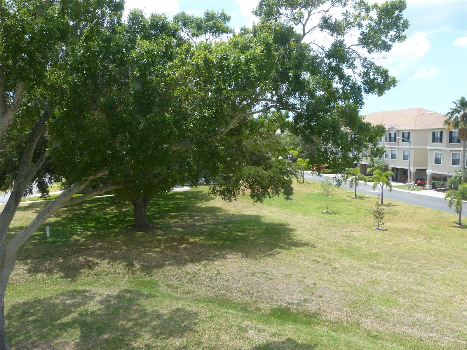 2700 BAYSHORE BLVD #4312, DUNEDIN, FL — photo 43