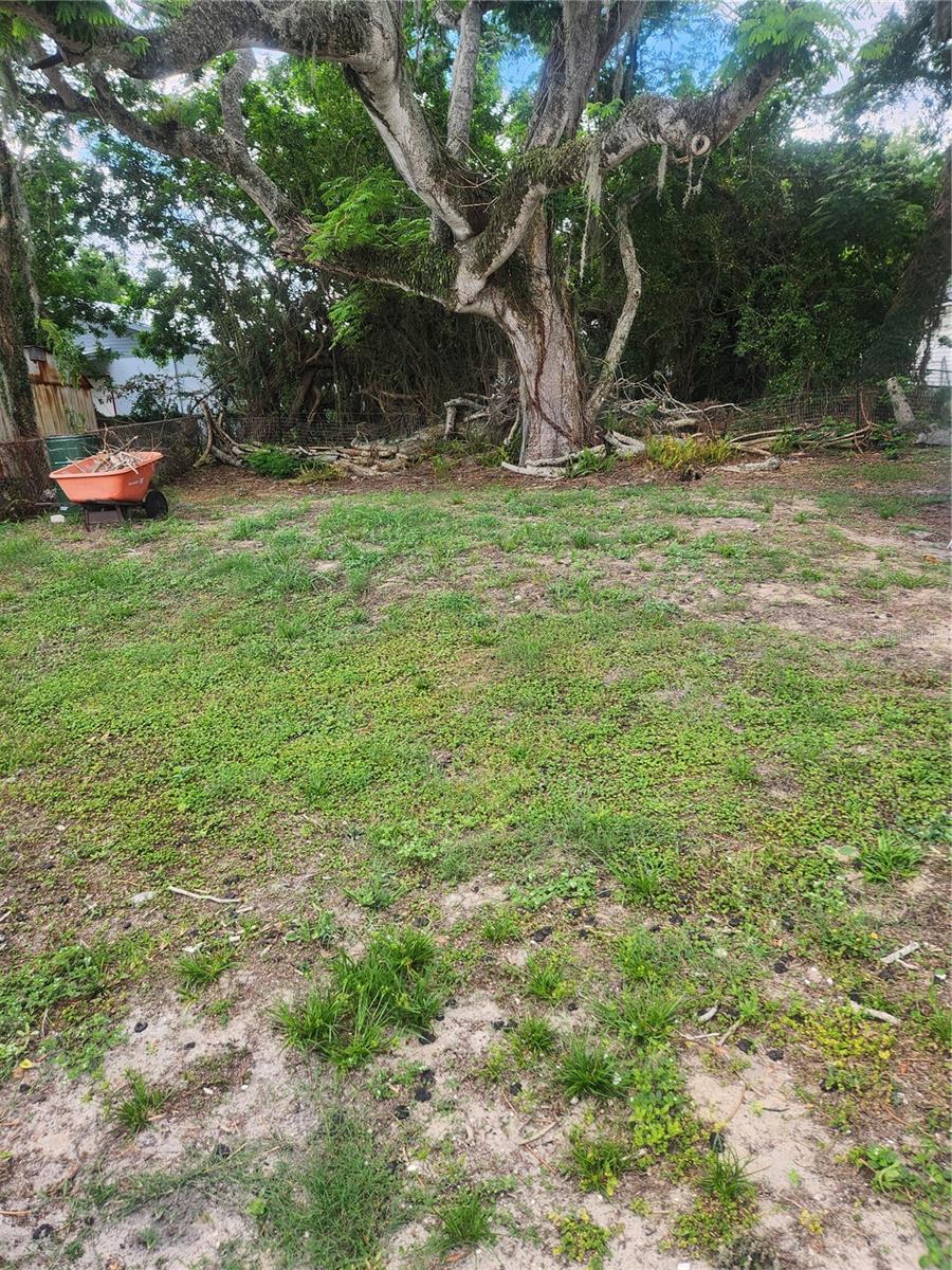 2429 LAKEVIEW ST, LAKELAND, FL — photo 5