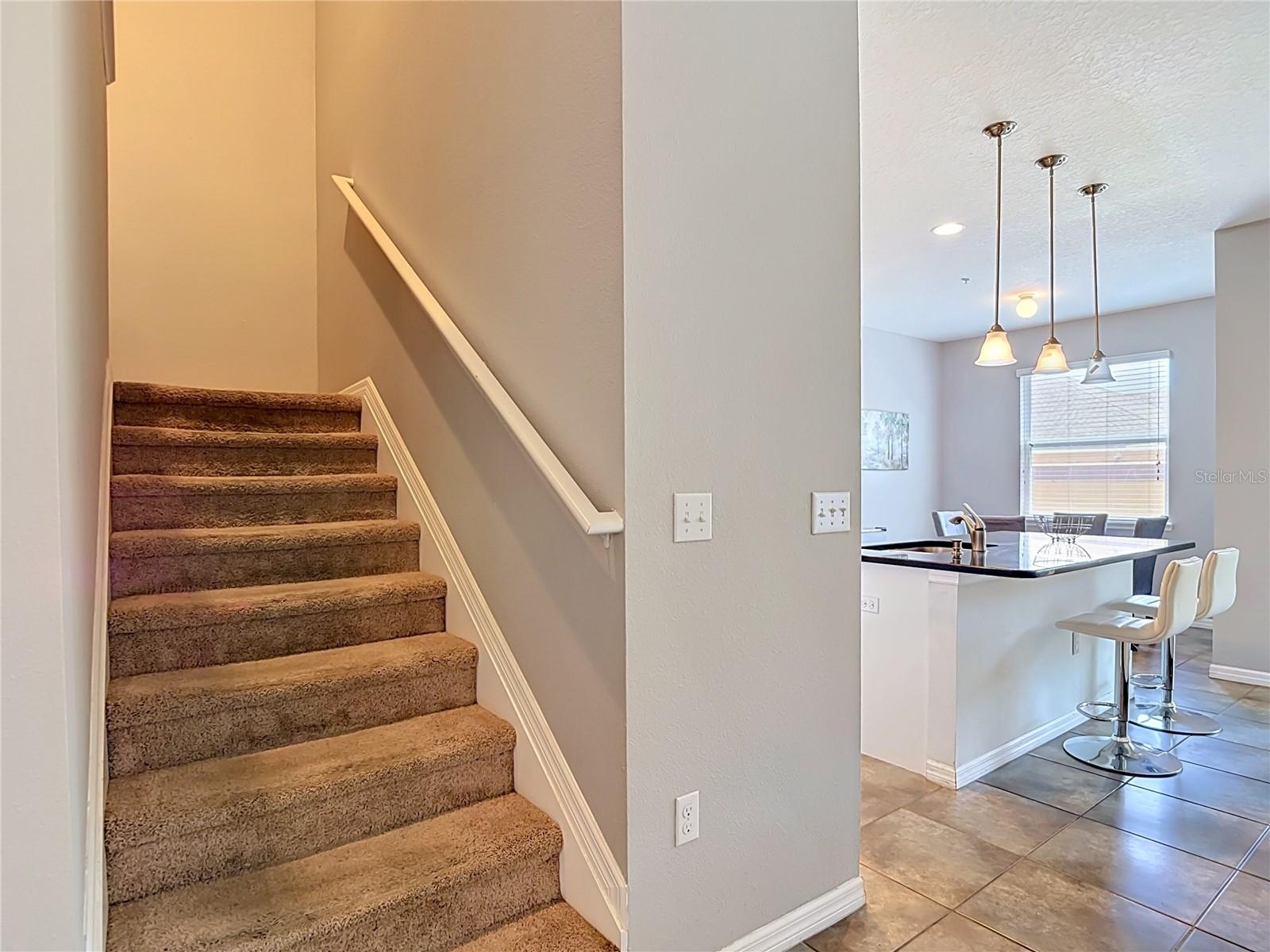 8615 ANDALUCIA FIELD DR, TAMPA, FL — photo 20