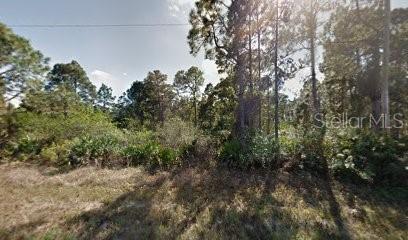 1118 COVE ST E, LEHIGH ACRES, FL — photo 2