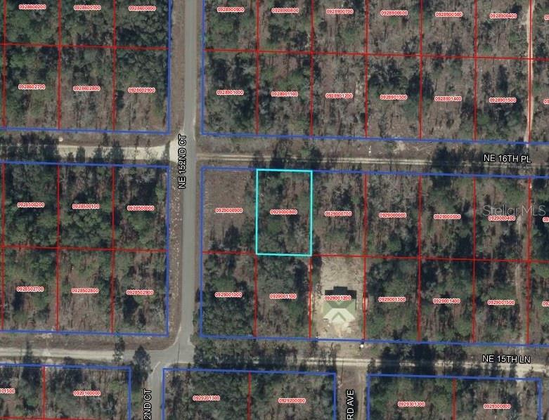 TBD NE 16TH PL, WILLISTON, FL — photo 7