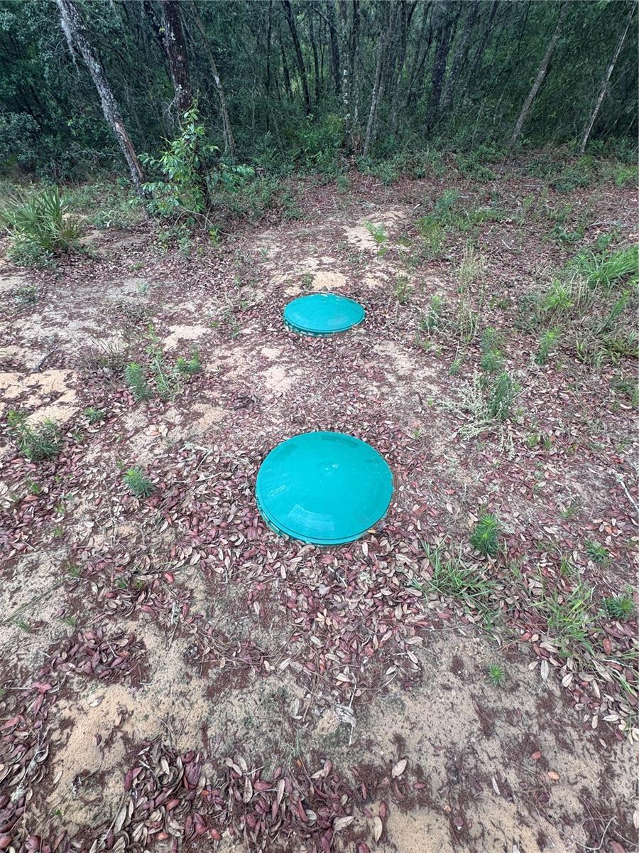 TBD NE 16TH PL, WILLISTON, FL — photo 4
