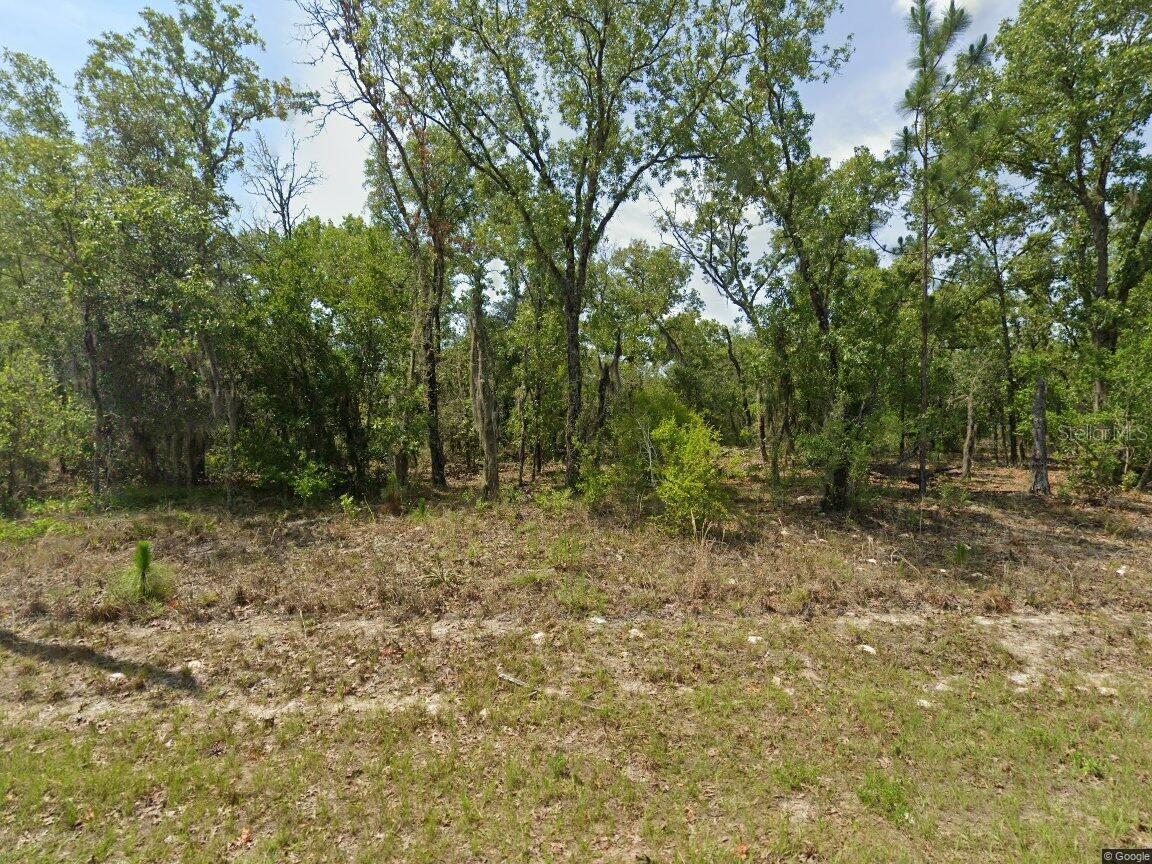 1900 W MAGENTA DR, DUNNELLON, FL
