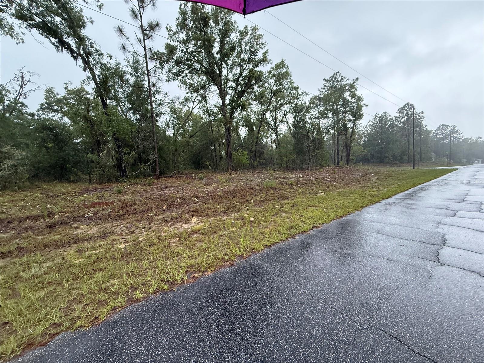 1900 W MAGENTA DR, DUNNELLON, FL — photo 2