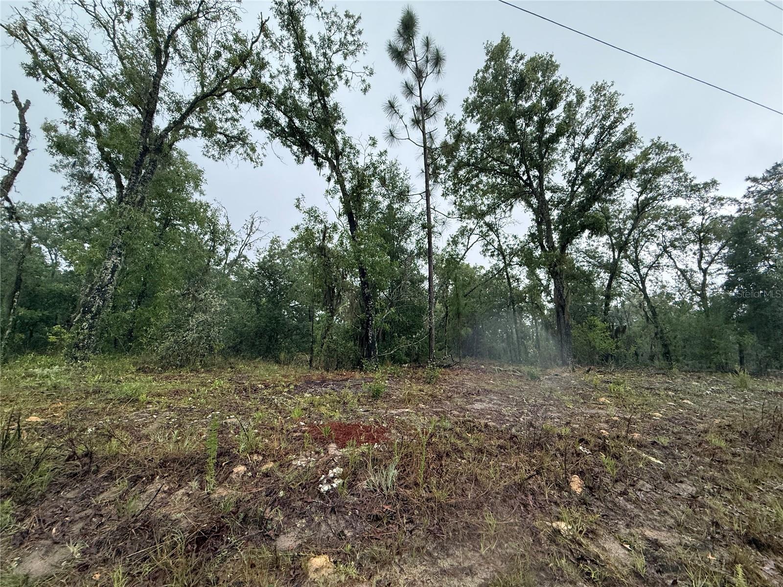1900 W MAGENTA DR, DUNNELLON, FL — photo 5