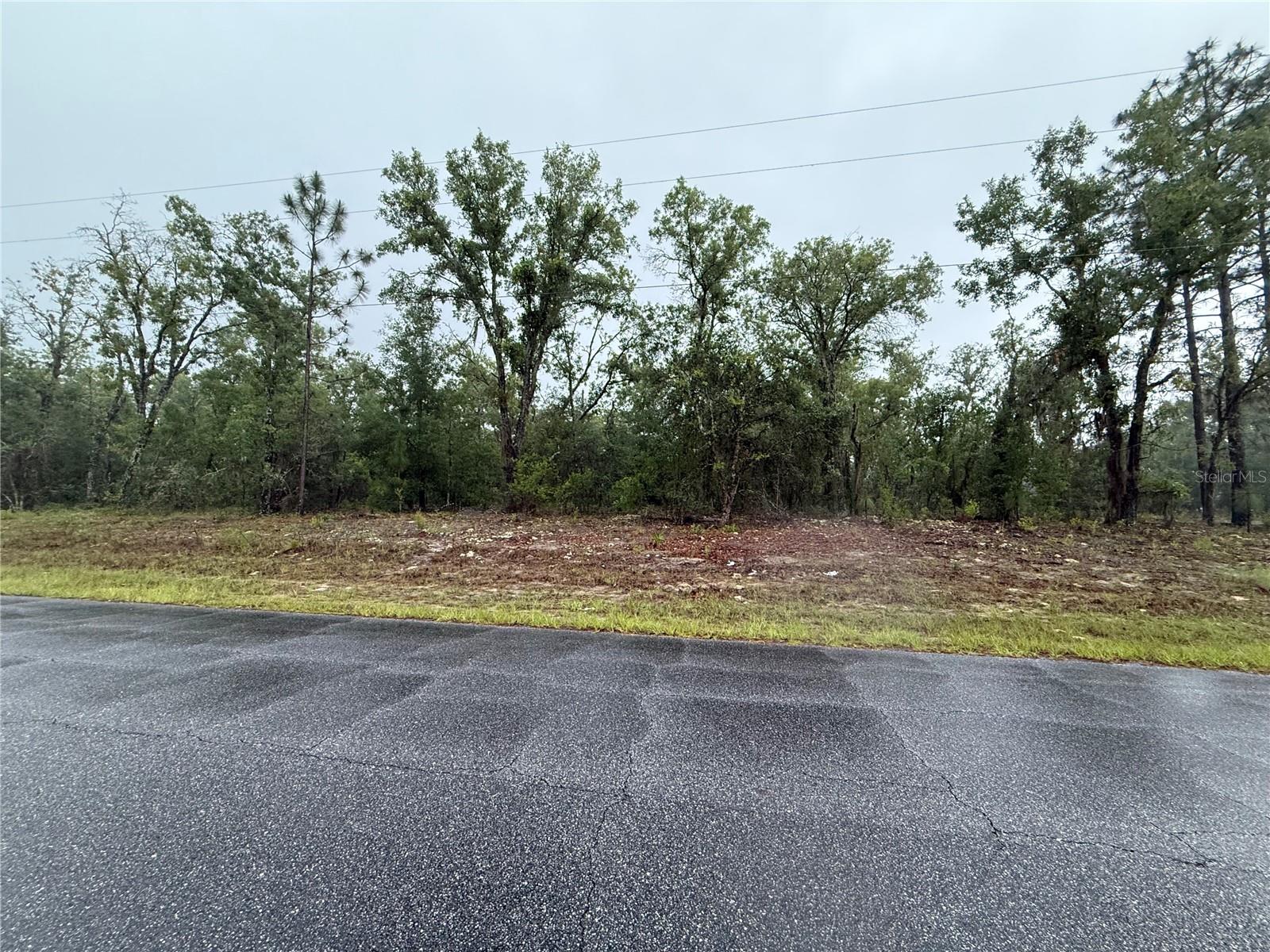 1900 W MAGENTA DR, DUNNELLON, FL — photo 6