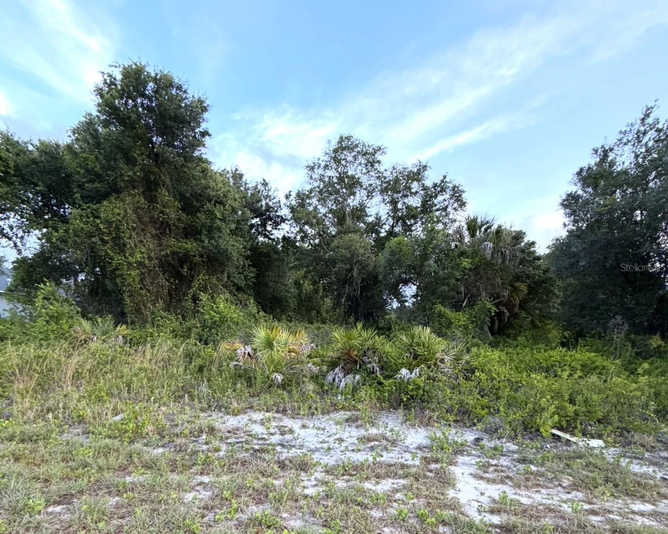 MANGROVE AVE, NORTH PORT, FL