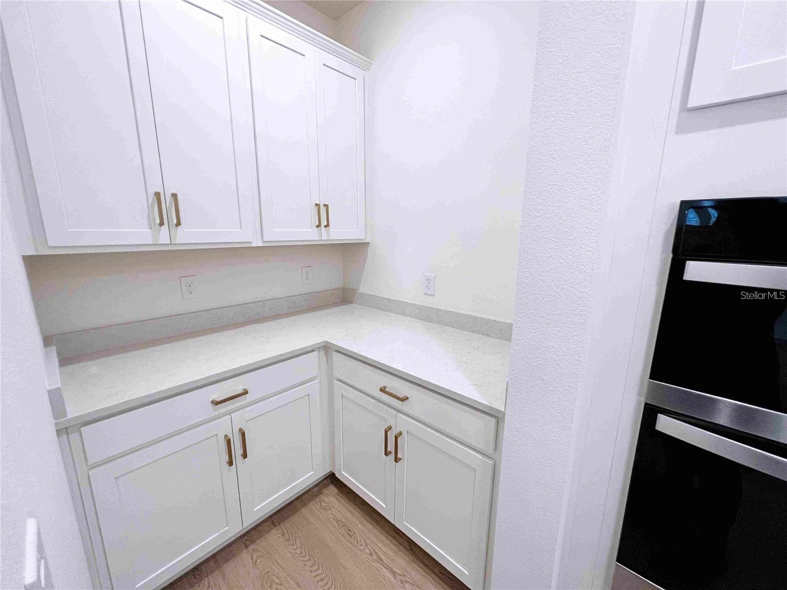 11965 BRACCO ST, WINTER GARDEN, FL — photo 10