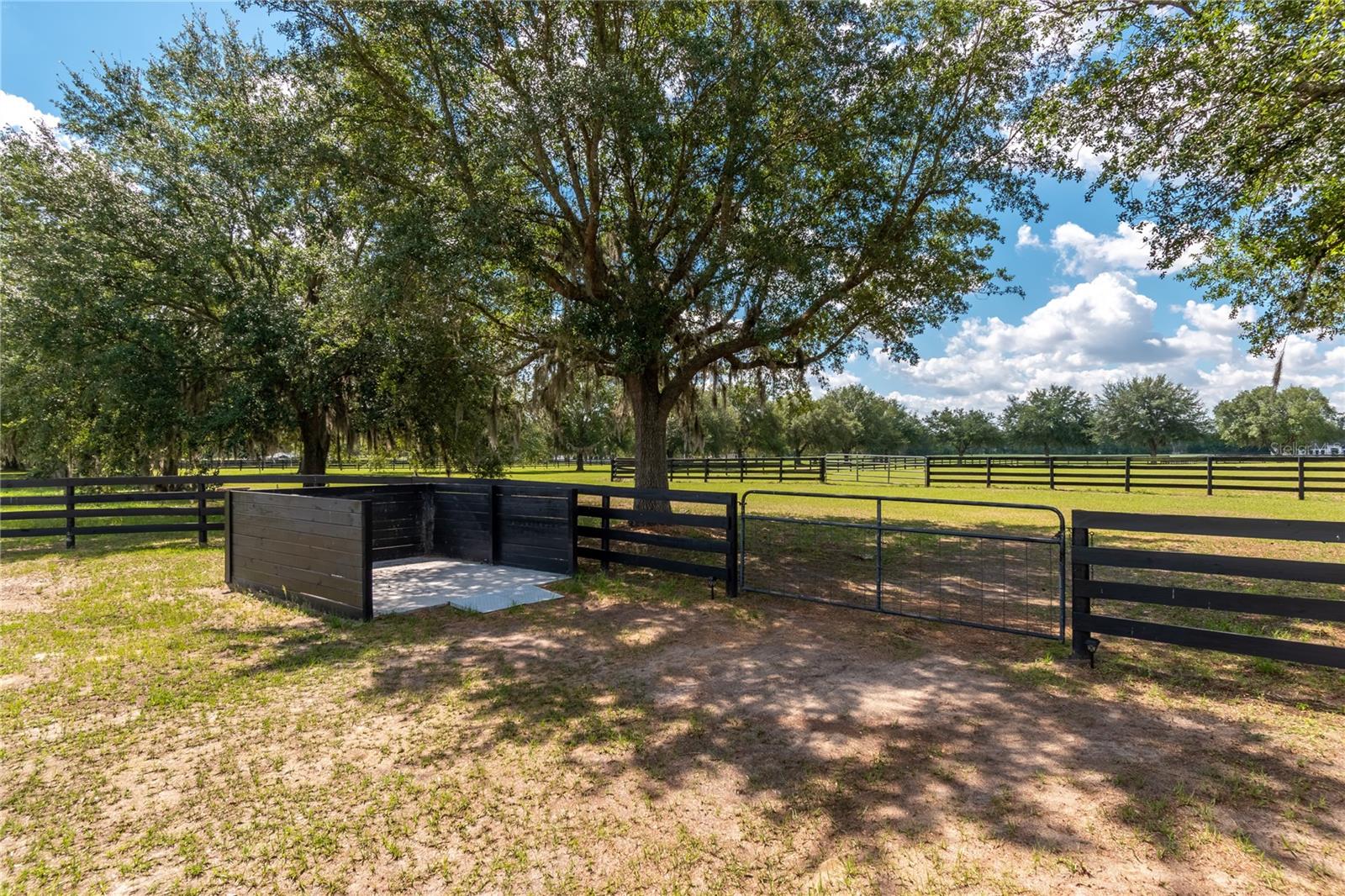 6957 NW 54TH LOOP, OCALA, FL — photo 61