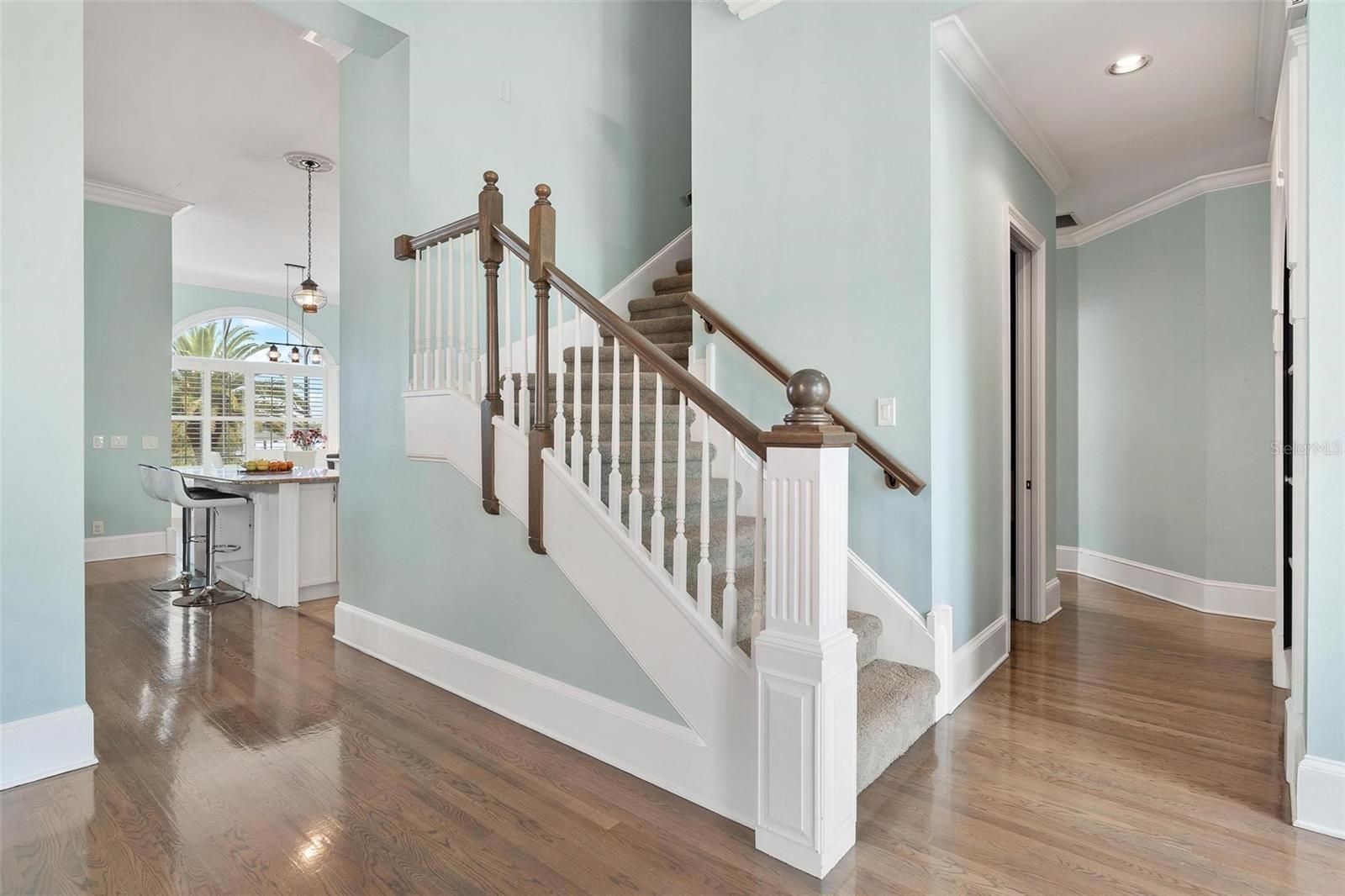 1641 EDGEWATER DR, MOUNT DORA, FL — photo 42