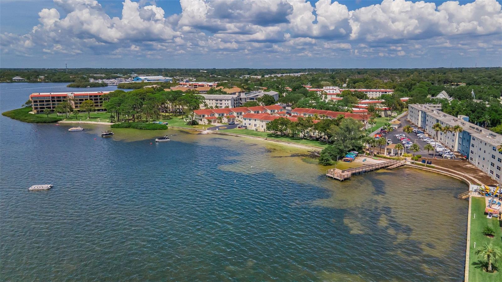 2700 BAYSHORE BLVD #525, DUNEDIN, FL — photo 3