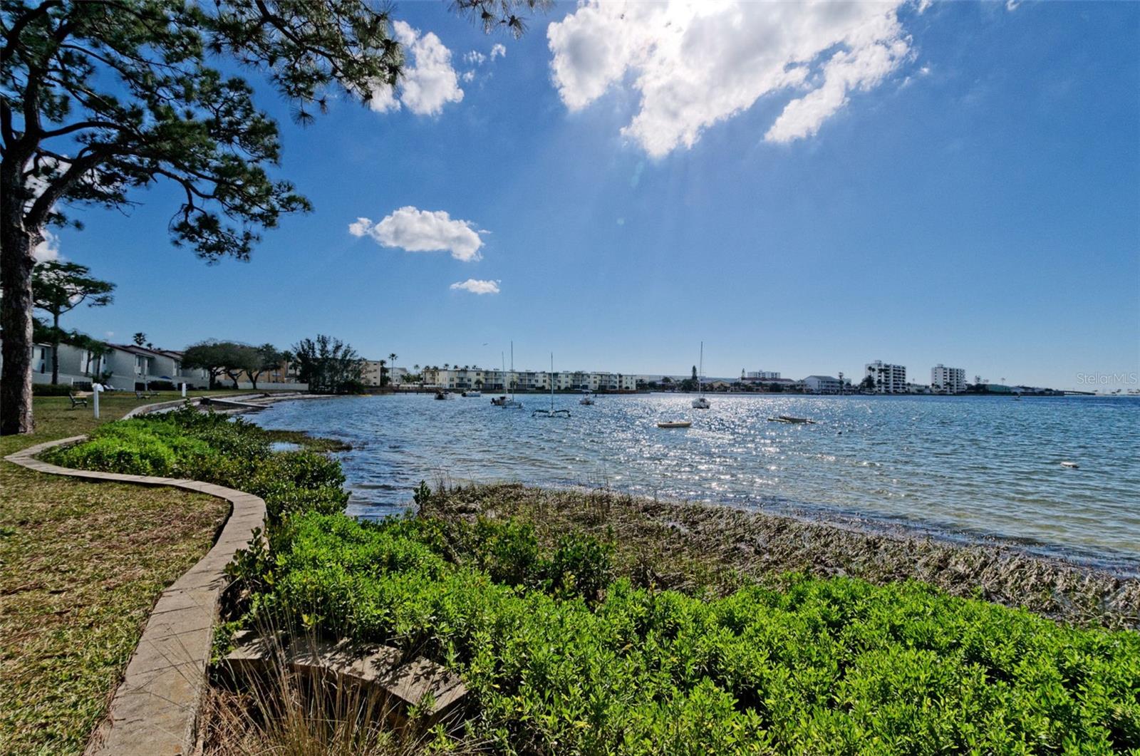 2700 BAYSHORE BLVD #525, DUNEDIN, FL — photo 61