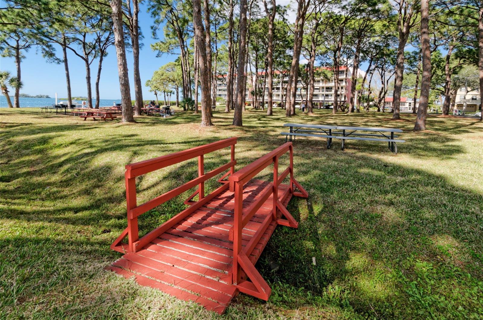 2700 BAYSHORE BLVD #525, DUNEDIN, FL — photo 63