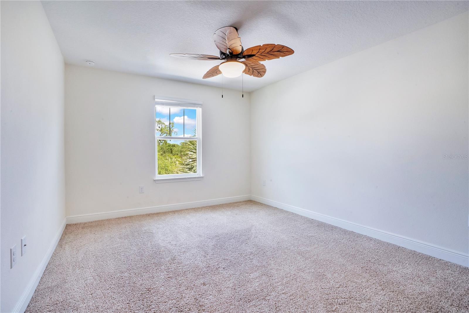 9009 PALM KEY AVE, OLDSMAR, FL — photo 20