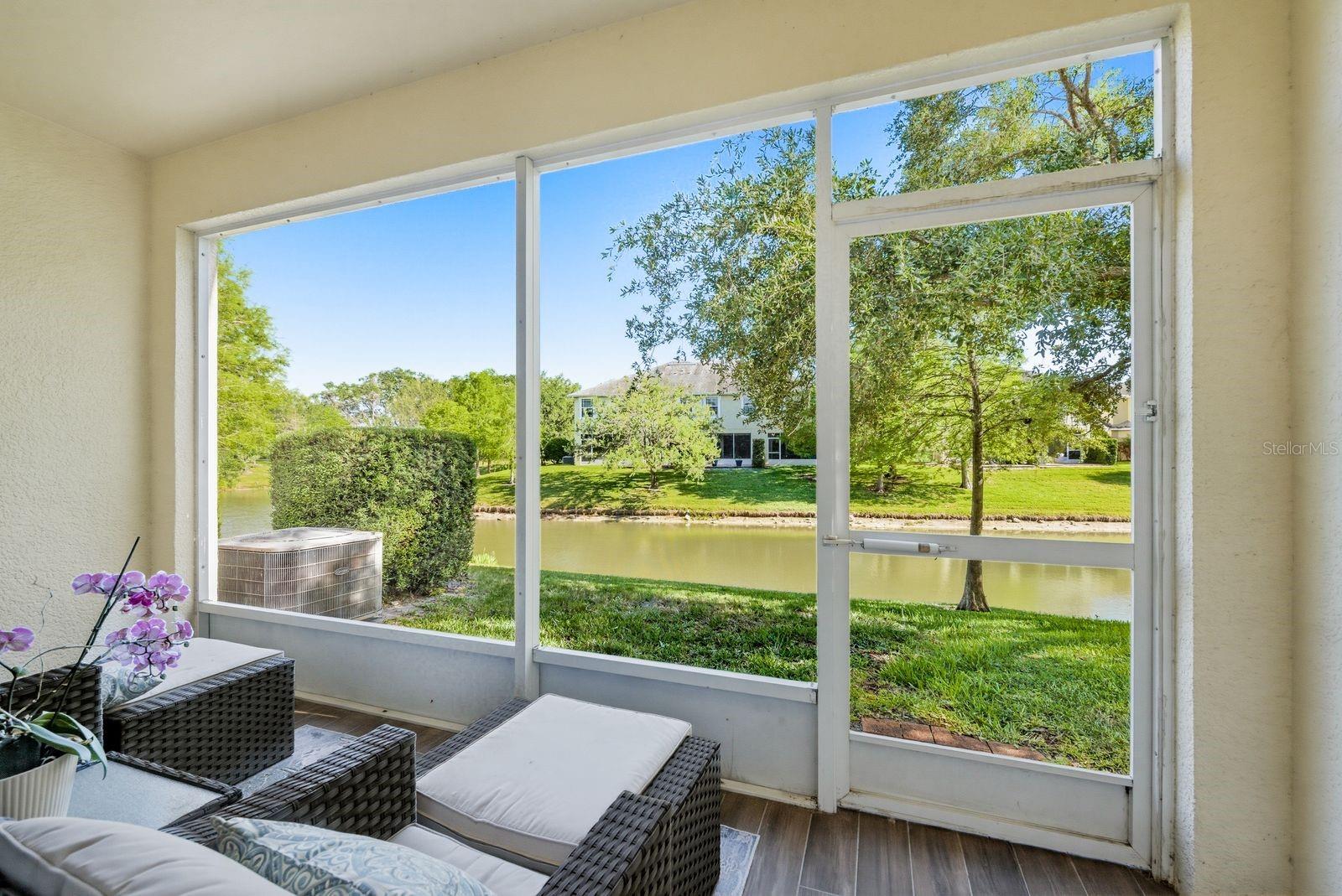 336 HARBOR RIDGE DR, PALM HARBOR, FL — photo 20