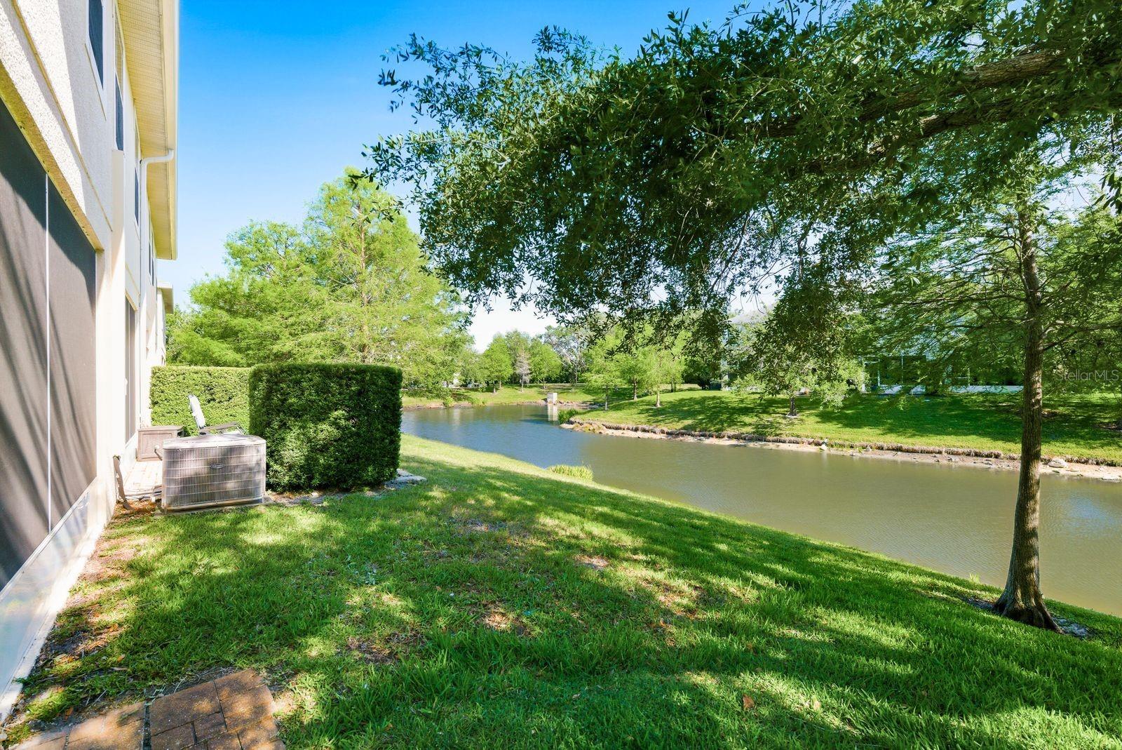 336 HARBOR RIDGE DR, PALM HARBOR, FL — photo 22