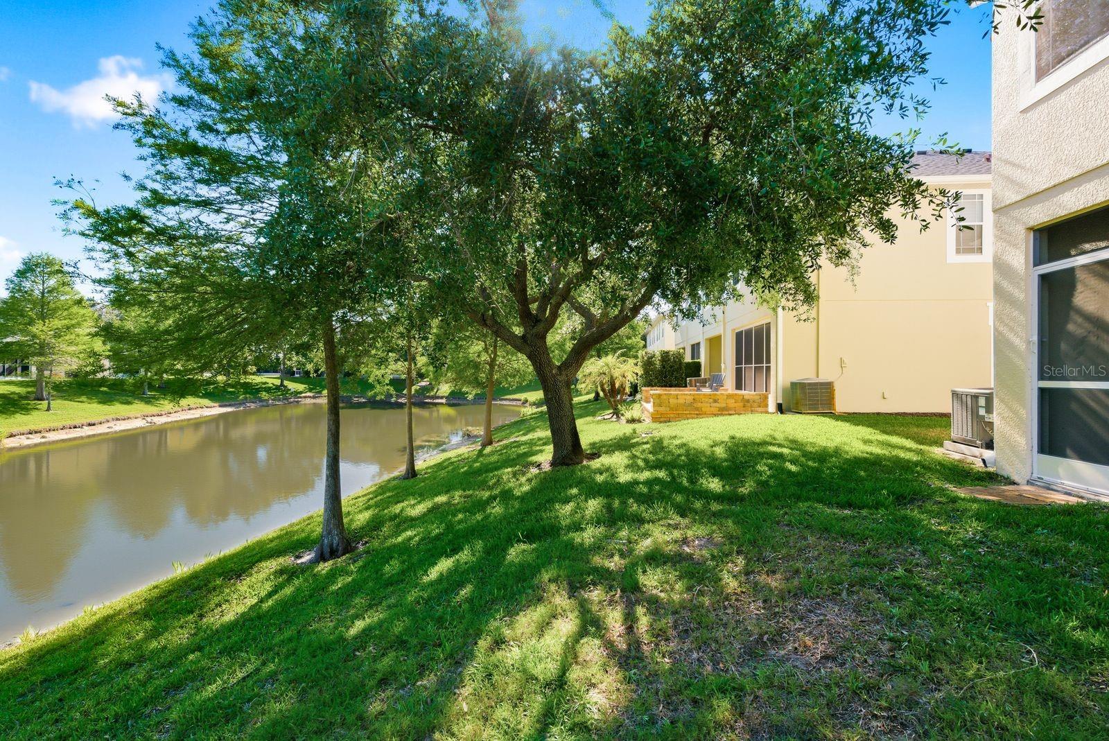 336 HARBOR RIDGE DR, PALM HARBOR, FL — photo 25
