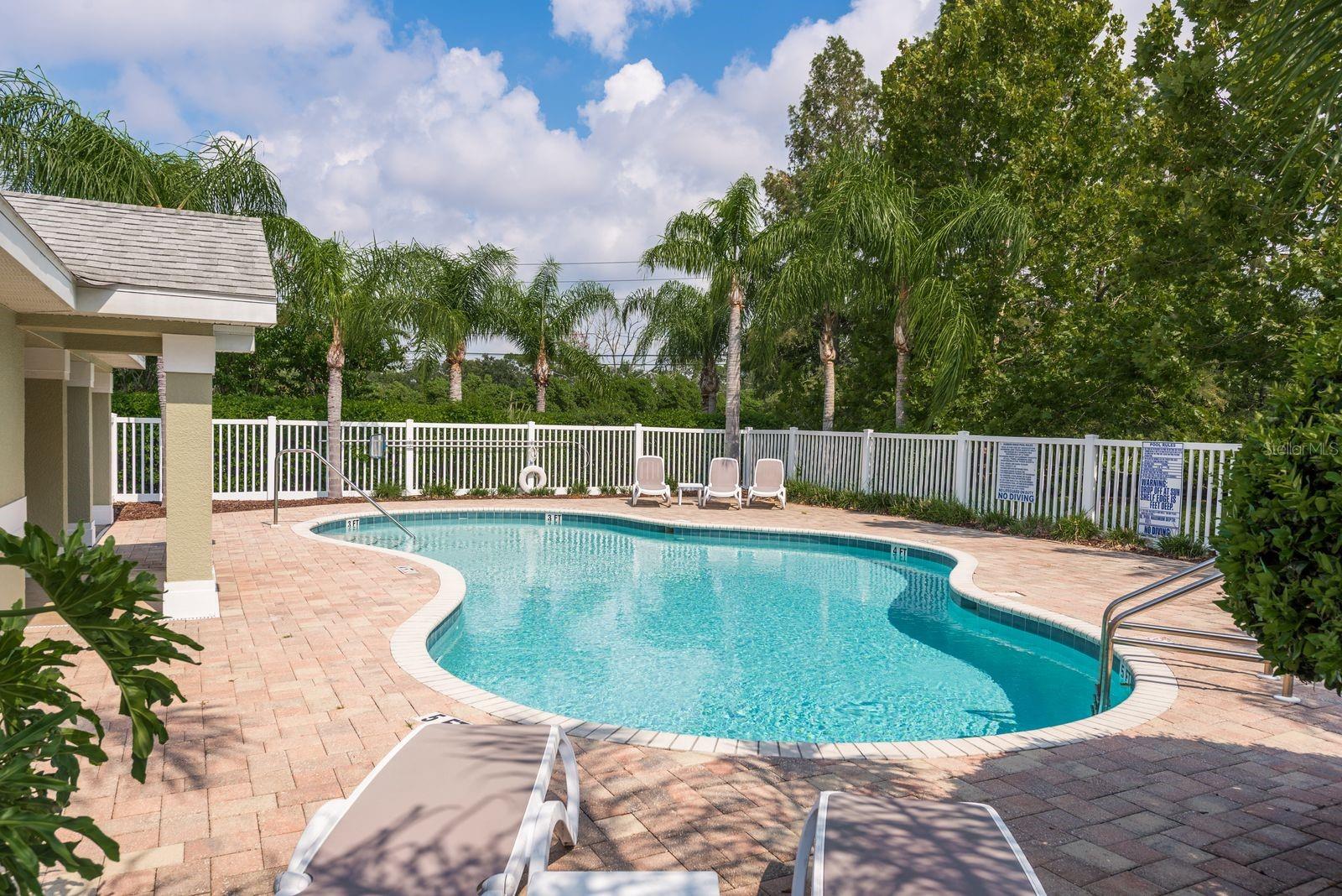 336 HARBOR RIDGE DR, PALM HARBOR, FL — photo 27