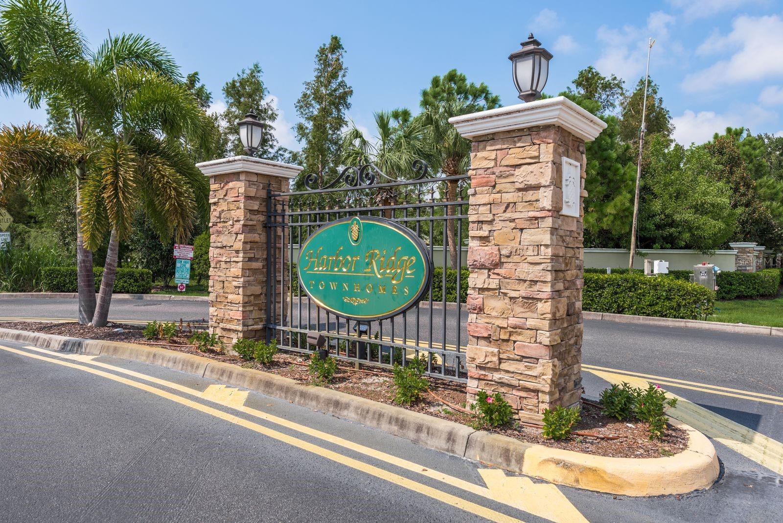 336 HARBOR RIDGE DR, PALM HARBOR, FL — photo 28