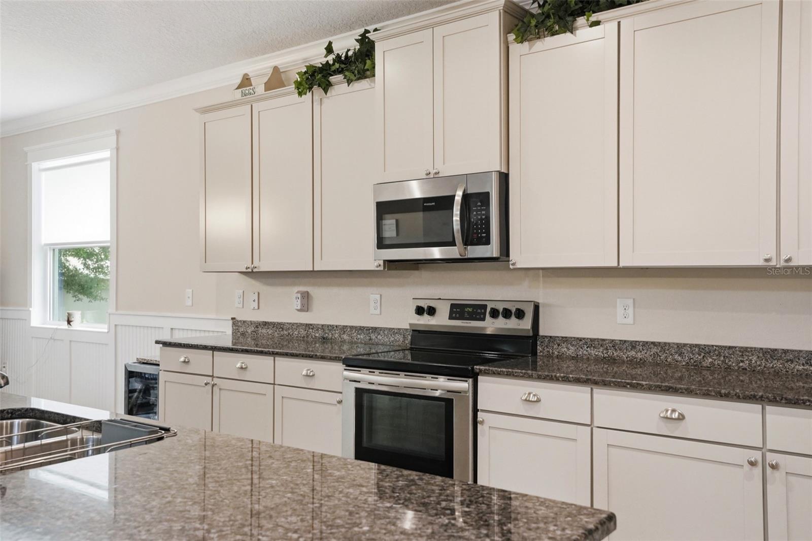 13897 BLYTHEWOOD DR, SPRING HILL, FL — photo 23