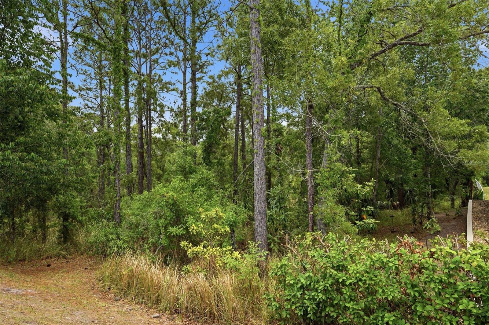 13897 BLYTHEWOOD DR, SPRING HILL, FL — photo 53
