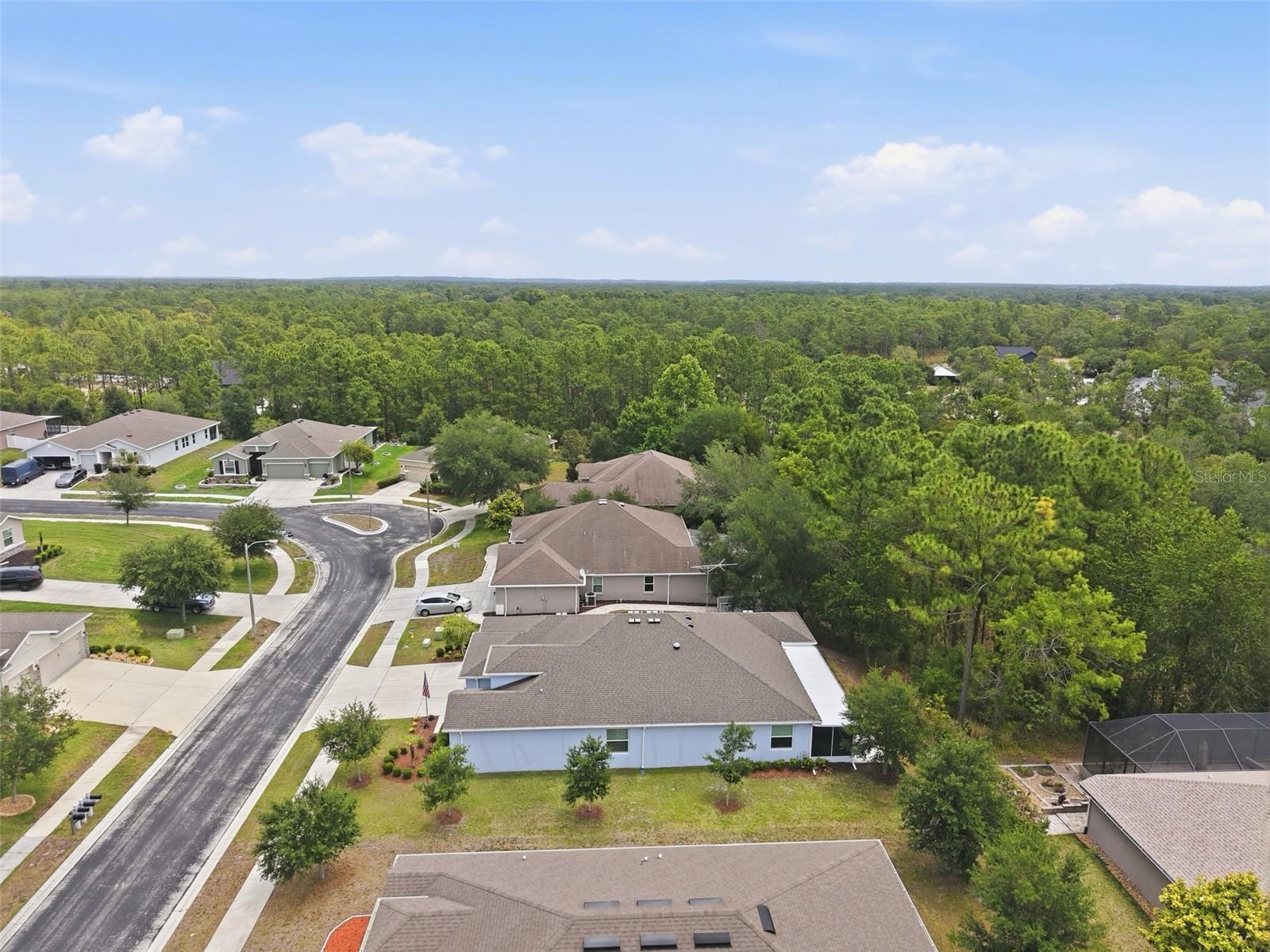 13897 BLYTHEWOOD DR, SPRING HILL, FL — photo 64