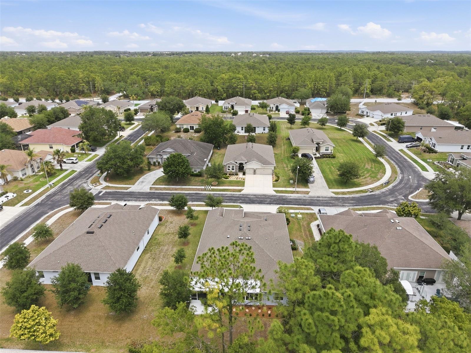 13897 BLYTHEWOOD DR, SPRING HILL, FL — photo 65