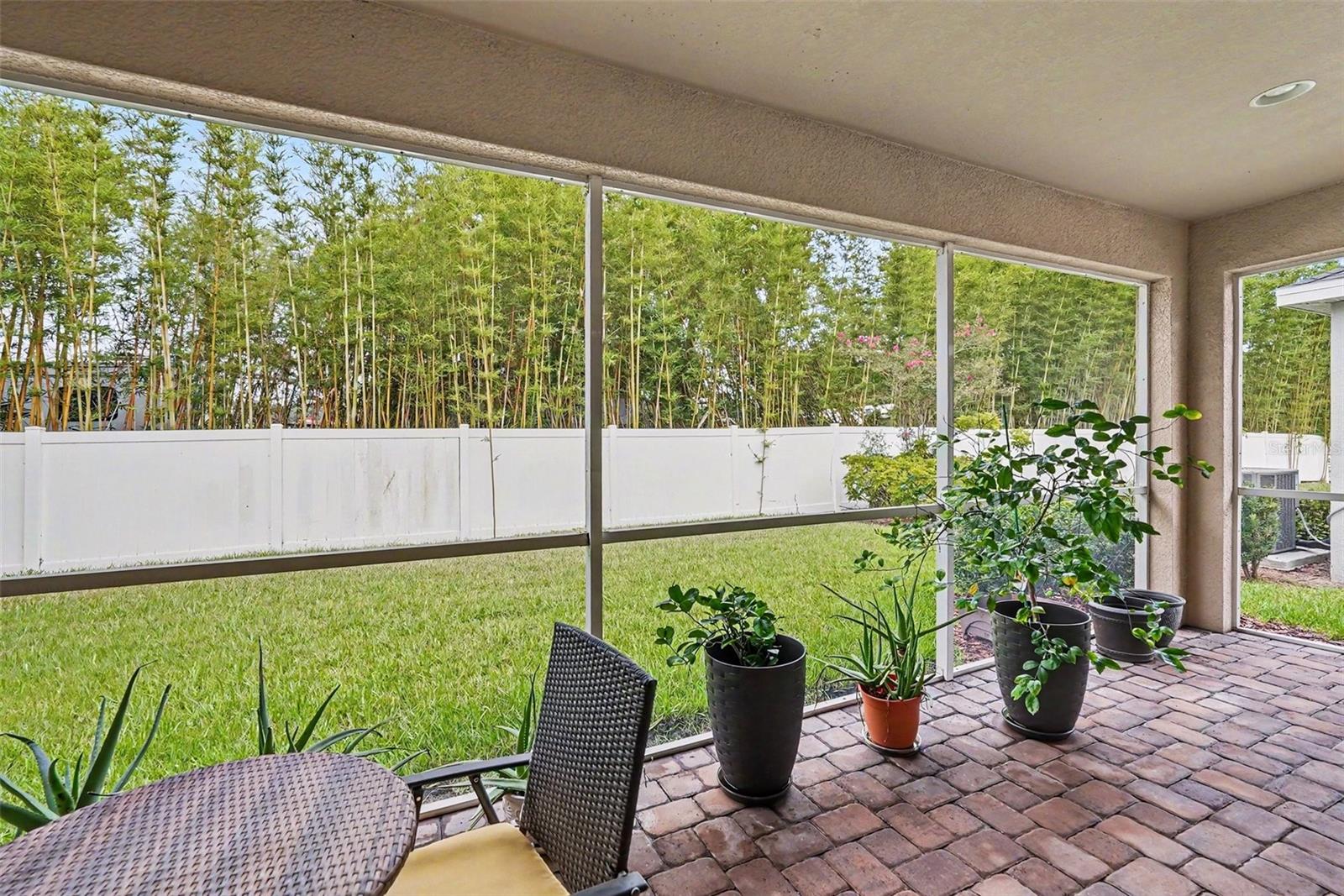 7907 SILVER CLOVER CT, RIVERVIEW, FL — photo 13